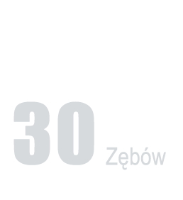 ilosc zebow proste 30